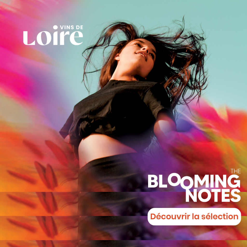 VINS DE LOIRE