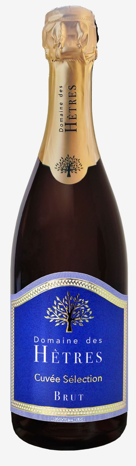 Domaine des Hêtres Cuvée Sélection Brut