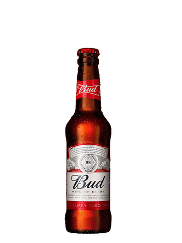 BIERE BUD BOUT 25CL