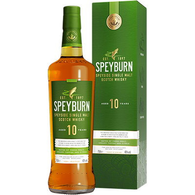 SPEYBURN 10 ANS 40%VOL
