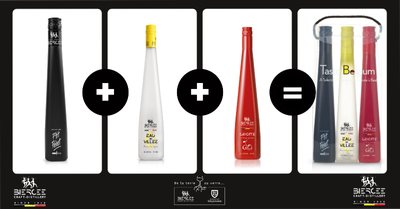 Coffret Taste Of Belgium Liqueurs Belges