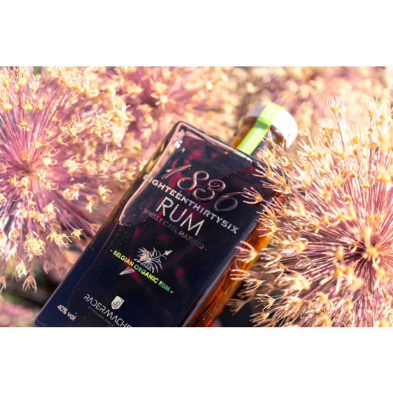 Rum Radermacher 1836