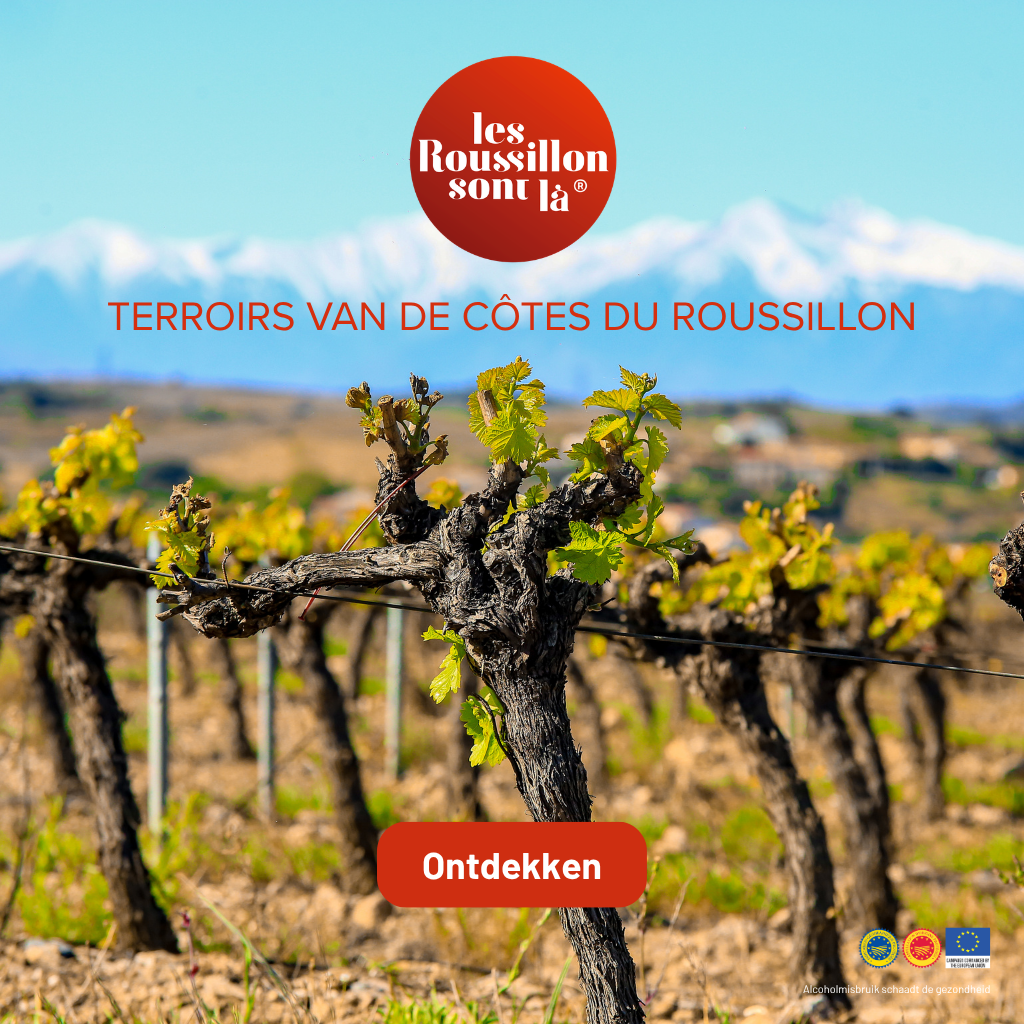 Les vins du Roussillon