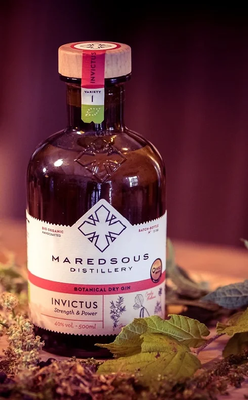 Gin Maredsous Invictus 50Cl