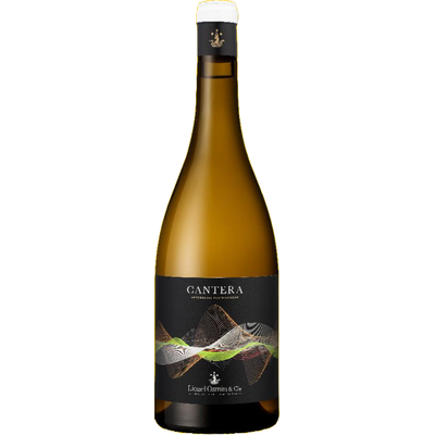 Comté Tolosan CANTERA 2023