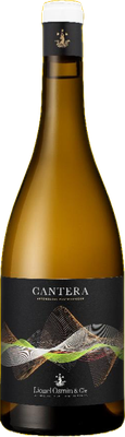 Comté Tolosan CANTERA 2023
